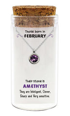 Zilveren kado ketting met geboortesteen van Februari