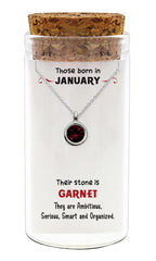 Zilveren kado: ketting met de geboortesteen: Januari