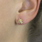 JÉH zilveren oorstekers firework