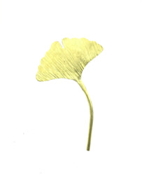 Ginkgo broche klein