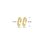 klapoorringen bolletjes 10 mm 14K geelgoud