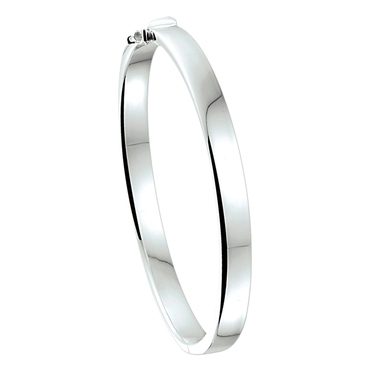 Bangle scharnier 6 mm vlakke buis zilver wit