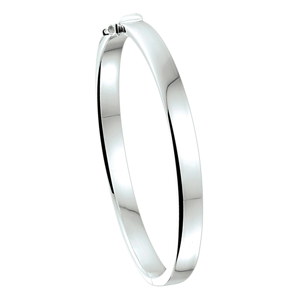 Bangle scharnier 6 mm vlakke buis zilver wit