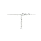 Collier 3,7 mm 40 + 4 cm zilver gerhodineerd