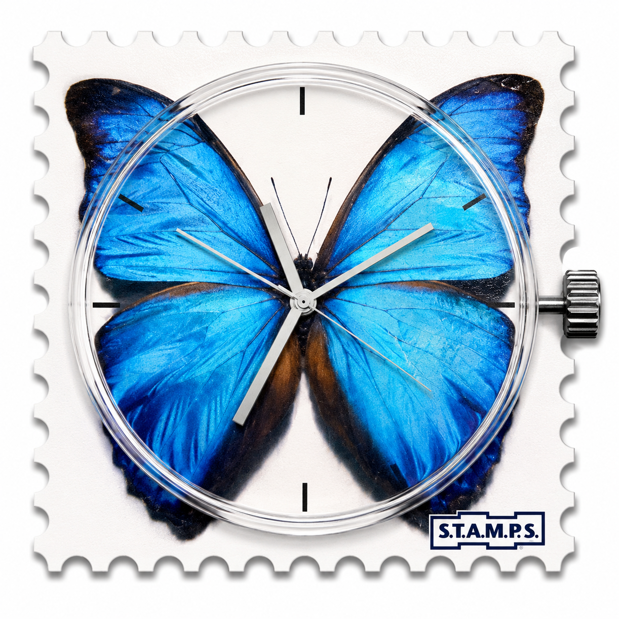 S.T.A.M.P.S. – Blue Butterfly