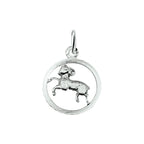 hanger sterrenbeeld gediamanteerd zilver wit