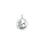 hanger sterrenbeeld gediamanteerd zilver gerhodineerd