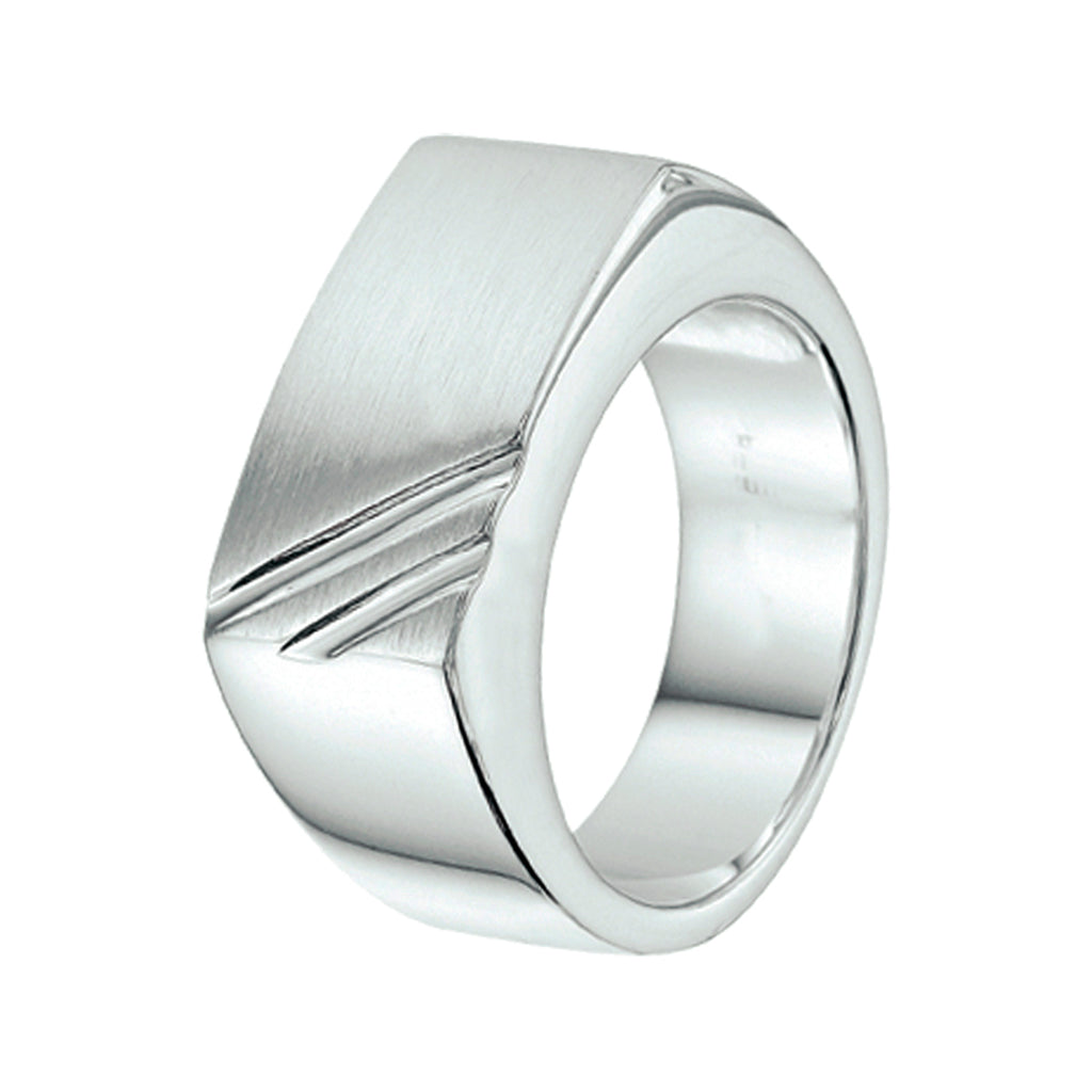 ring poli/mat zilver wit