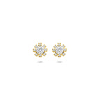 oorknoppen rozet zirkonia 6 mm 14K geelgoud