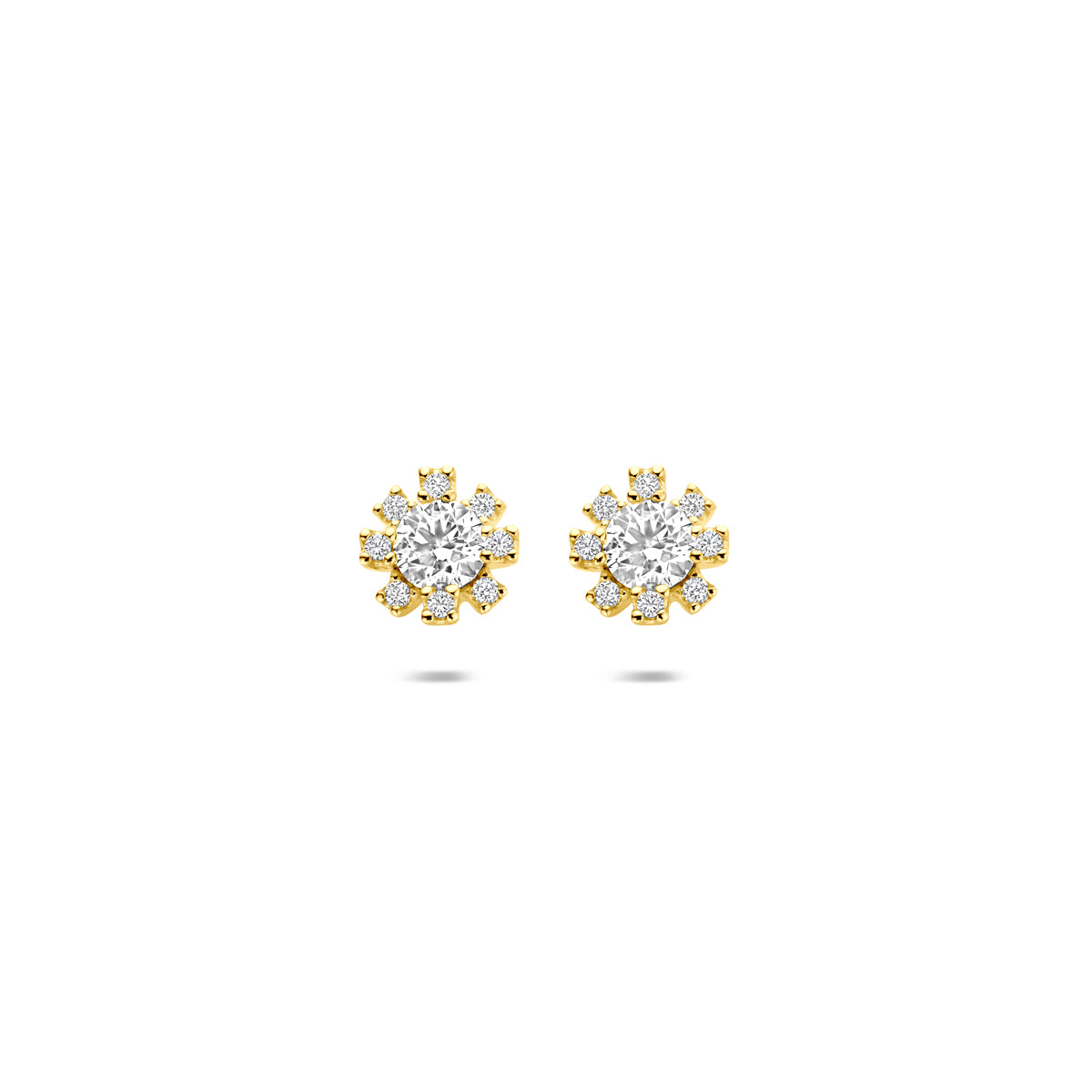 oorknoppen rozet zirkonia 6 mm 14K geelgoud