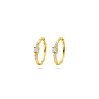 oorringen zirkonia 12 mm 14K geelgoud