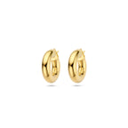 oorringen 6,0 mm ronde buis 1 micron zilver verguld (geel) - rond