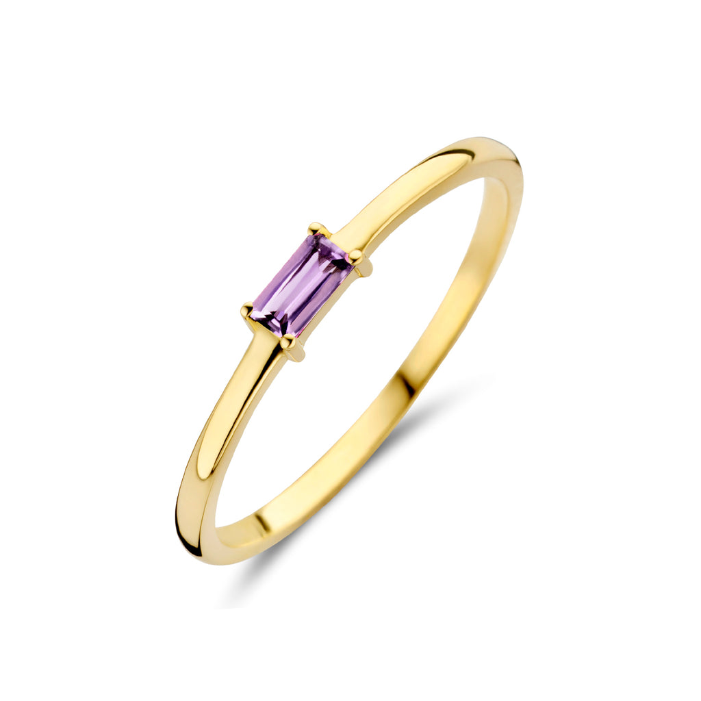 ring met geboortesteen amethist juni 14K geelgoud