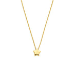 collier ster 40 - 42 - 44 cm 14K geelgoud