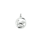 hanger sterrenbeeld gediamanteerd zilver gerhodineerd