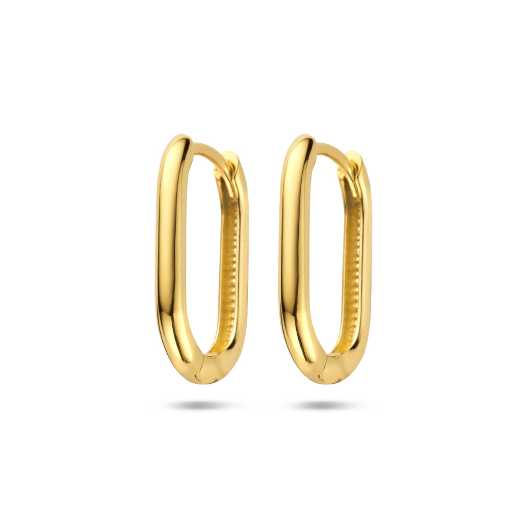 klapoorringen paperclip 14K geelgoud - ovaal