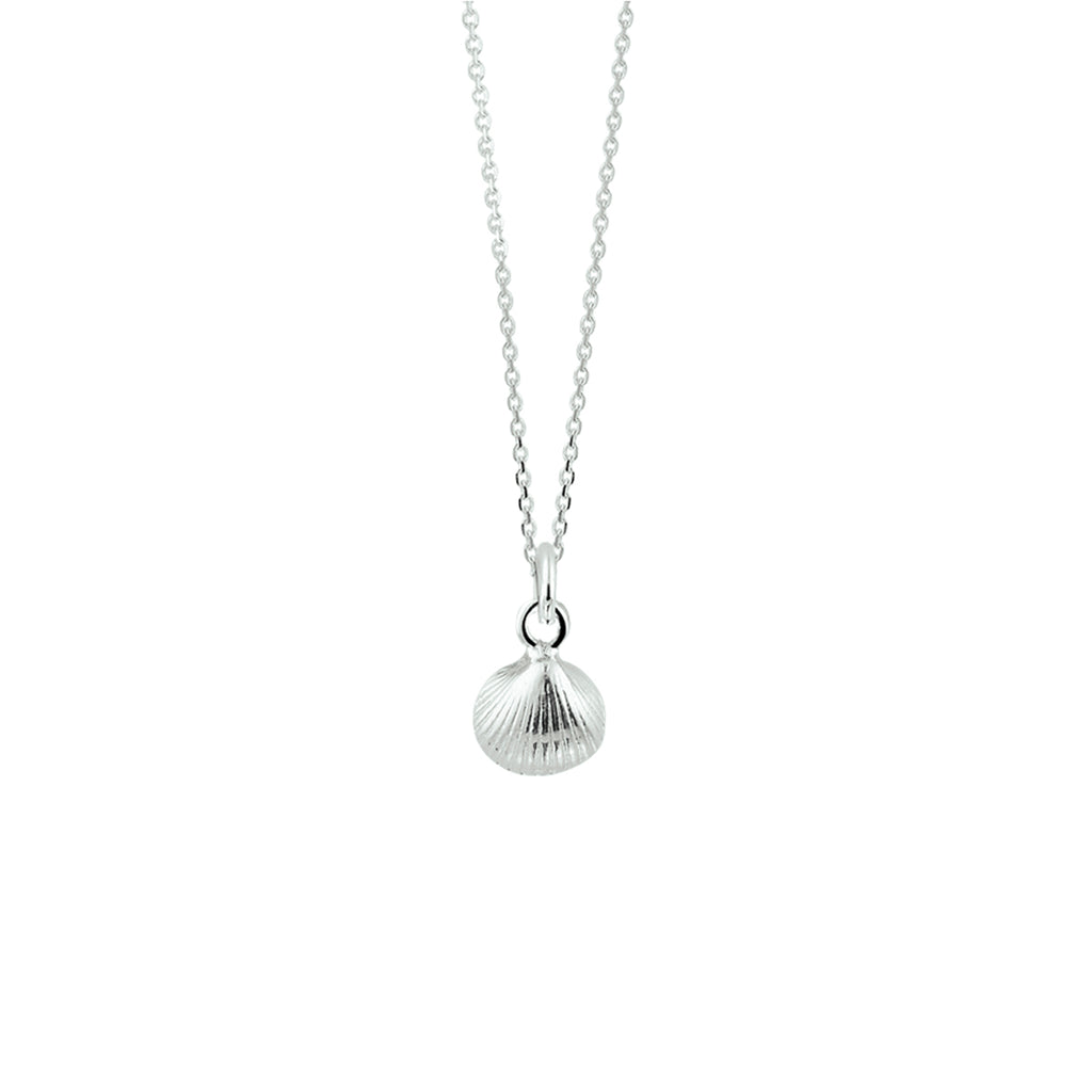 collier schelp 41 + 4 cm zilver wit