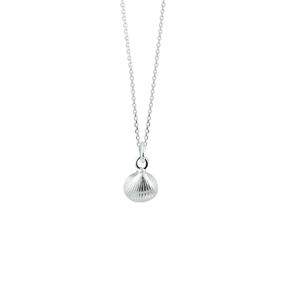collier schelp 41 + 4 cm zilver wit