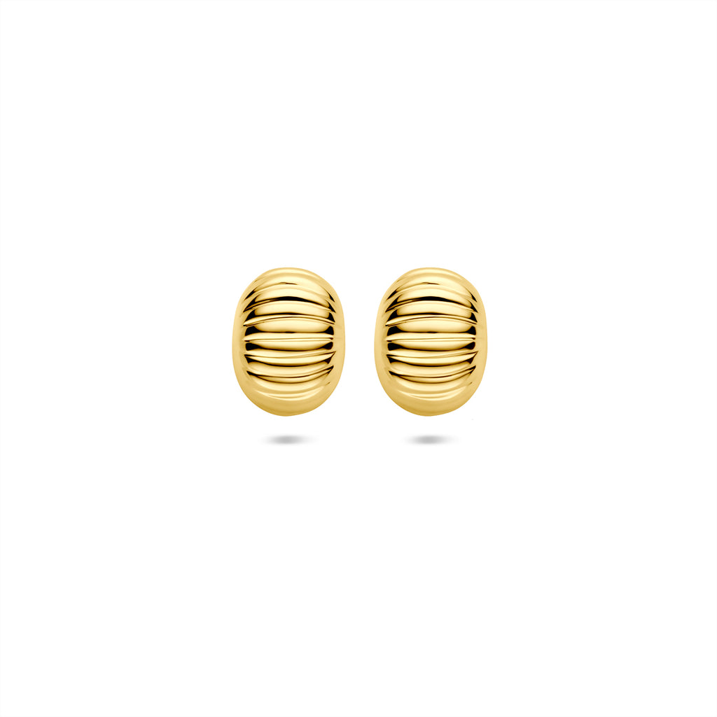 Ohrstecker 10 mm 14K Gelbgold