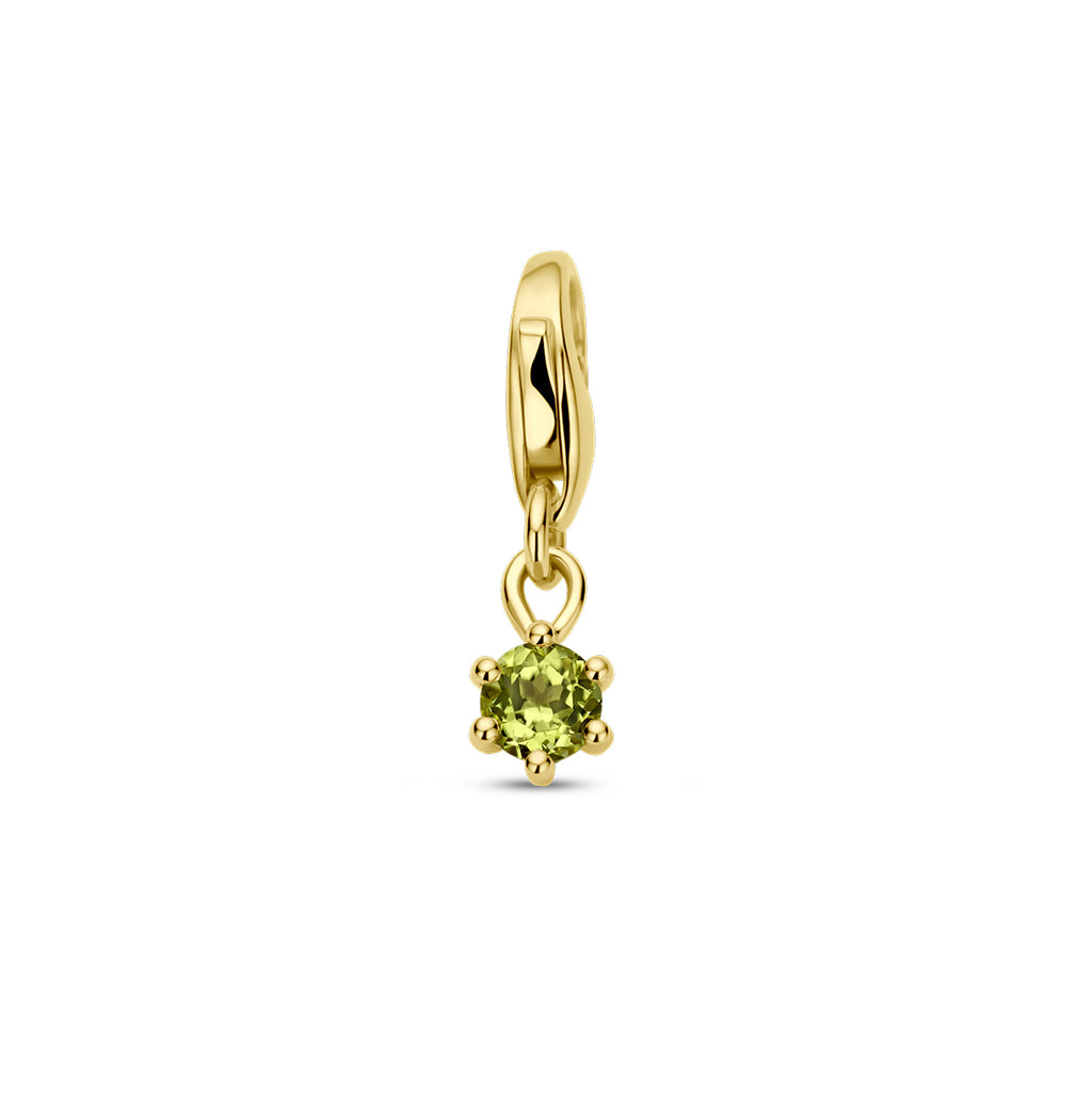 slotbedel met geboortesteen 14K geelgoud