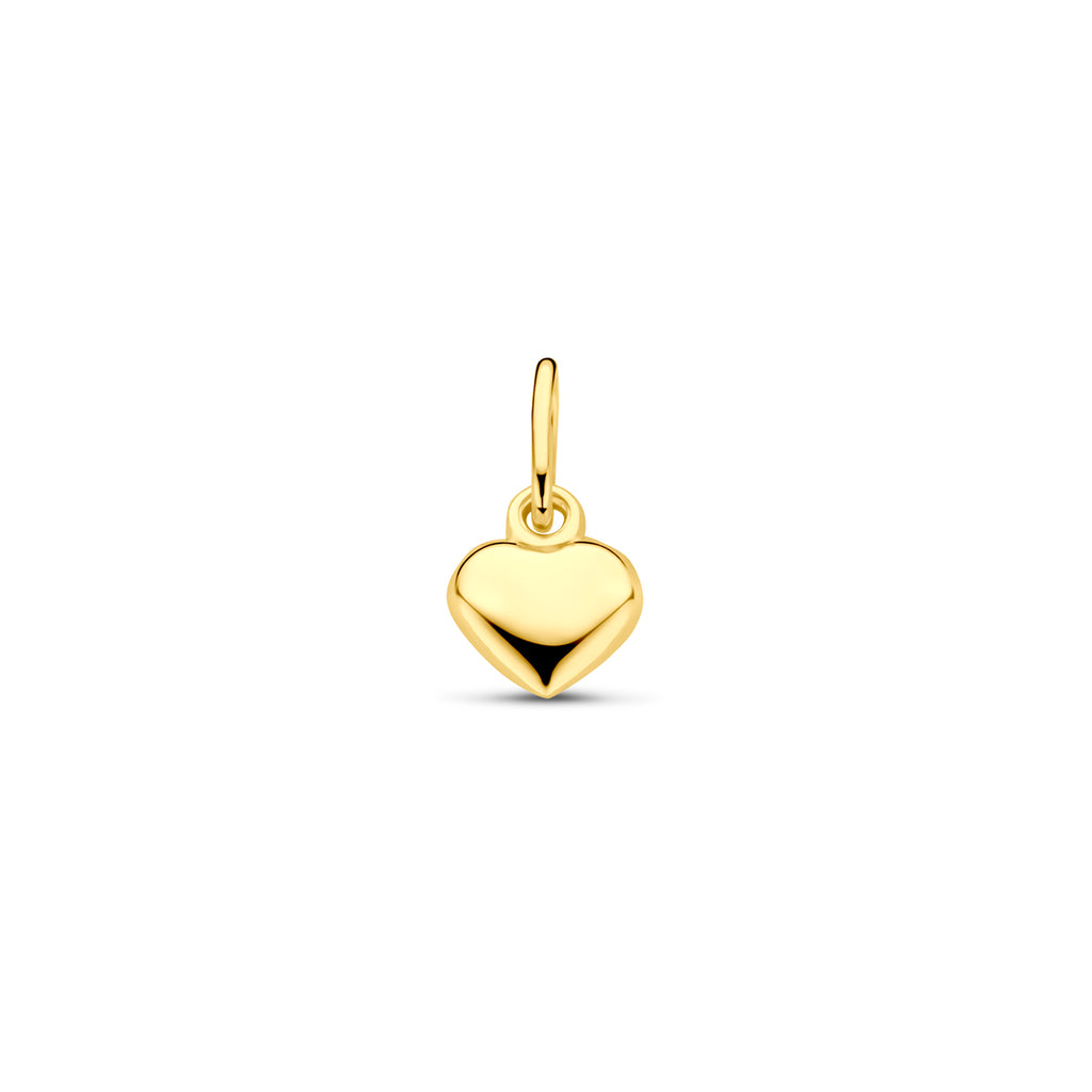 Anhänger Herz 14K Gelbgold