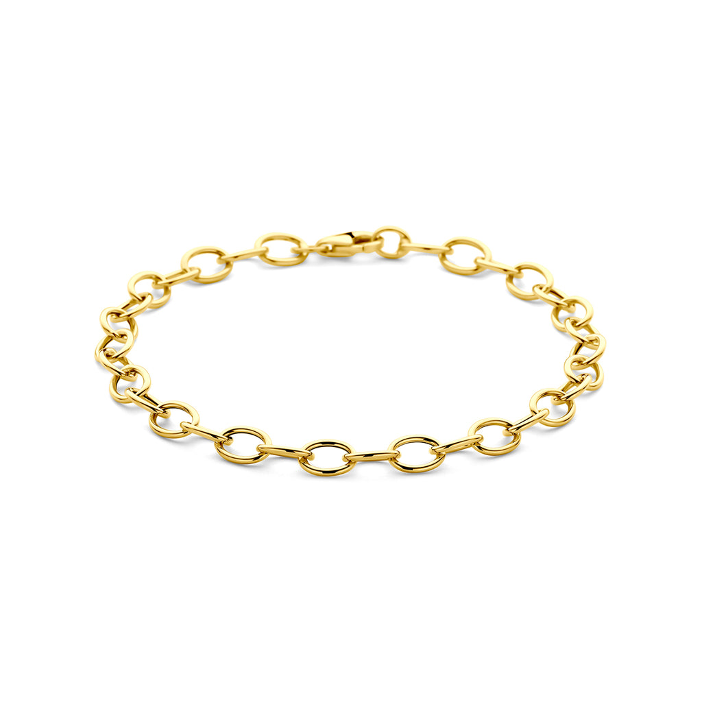 armband anker 5,5 mm 19 cm 14K geelgoud