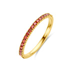 ring met geboortesteen granaat januari 14K geelgoud