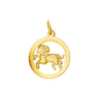 hanger sterrenbeeld gediamanteerd 14K geelgoud