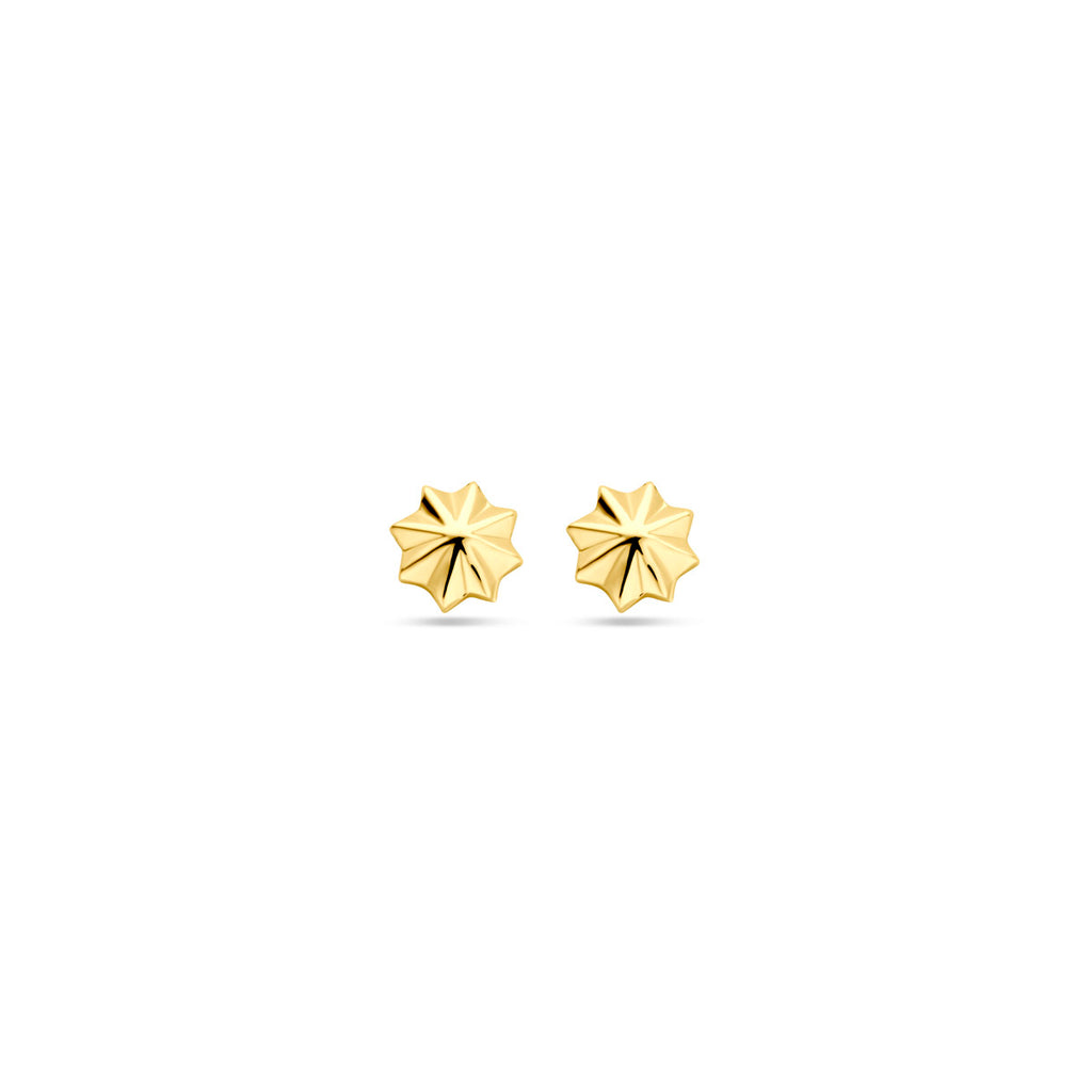 Ohrstecker 5,5 mm 14K Gelbgold
