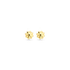 Ohrstecker 5,5 mm 14K Gelbgold