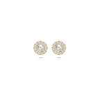 9 Karat Perlen- und Zirkonia-Ohrstecker 6,5 mm 9 Karat Gelbgold
