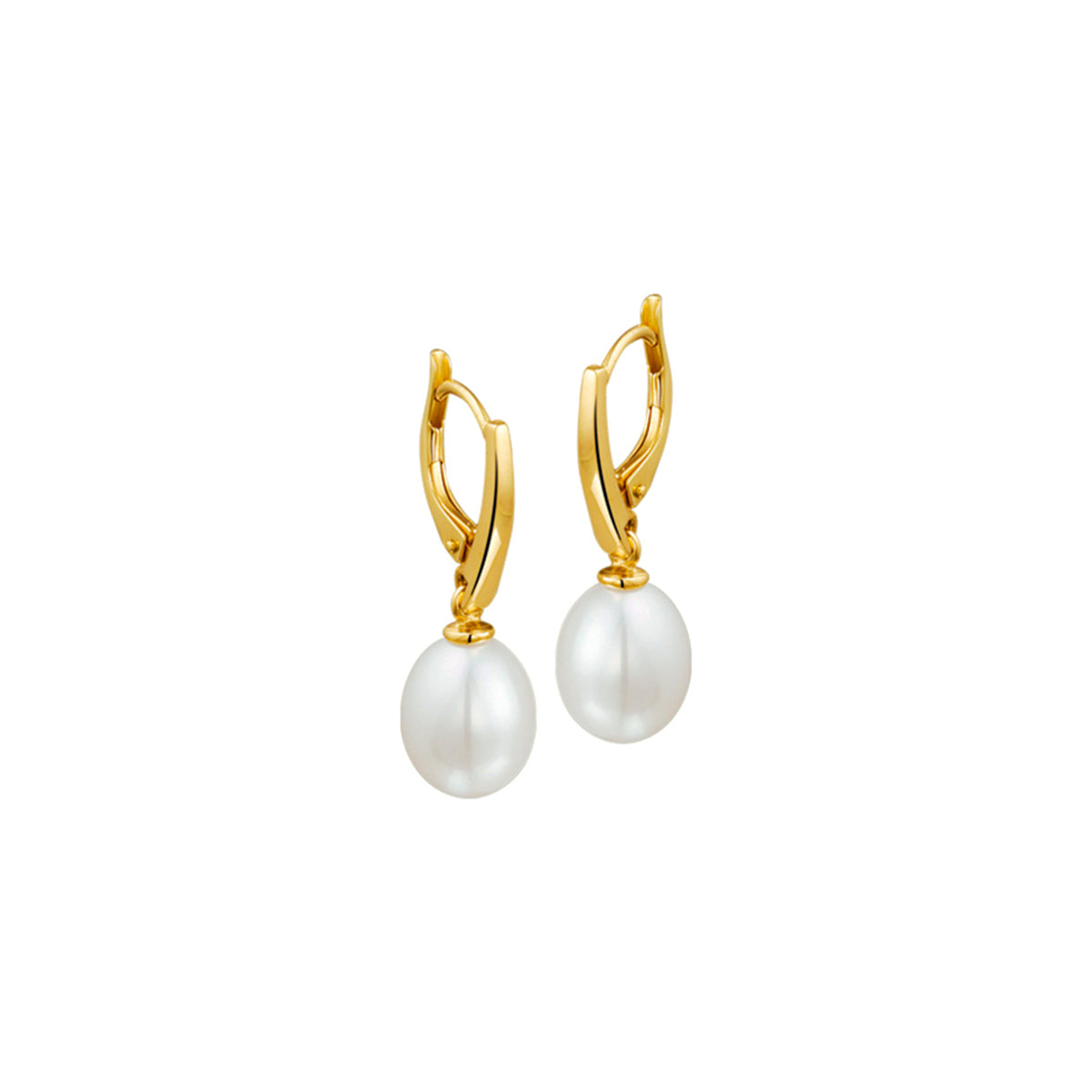 oorhangers parel brisur haak 14K geelgoud