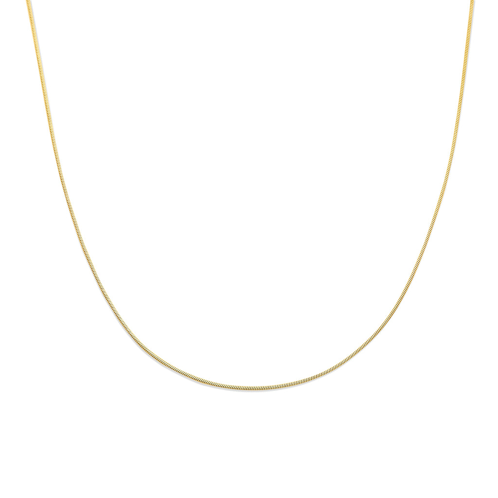 slang rond 1,4 mm ion plating edelstaal