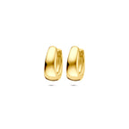 9k klapoorringen 12 mm 9K geel