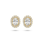 oorknoppen zirkonia halo 14K geelgoud