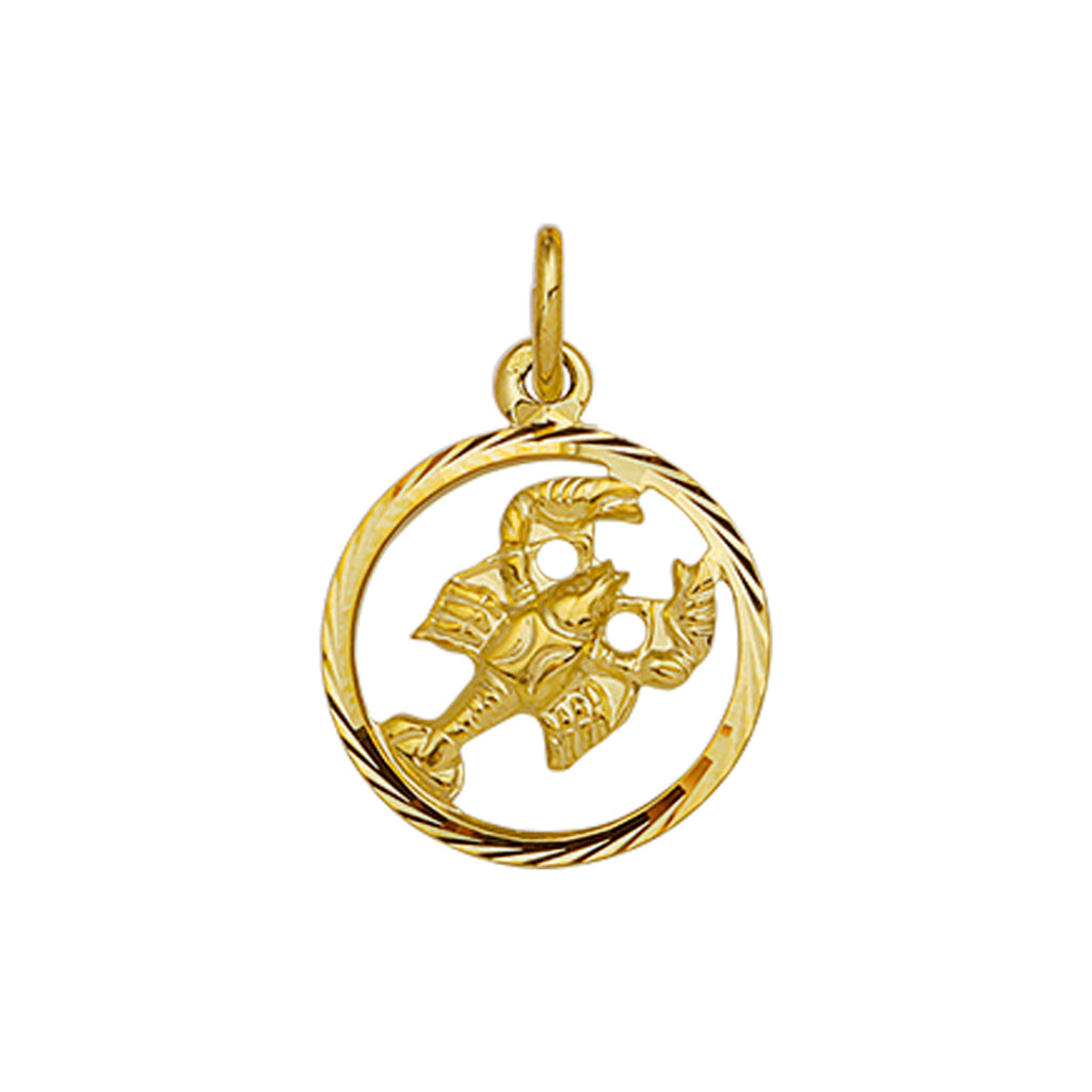 hanger sterrenbeeld gediamanteerd 14K geelgoud