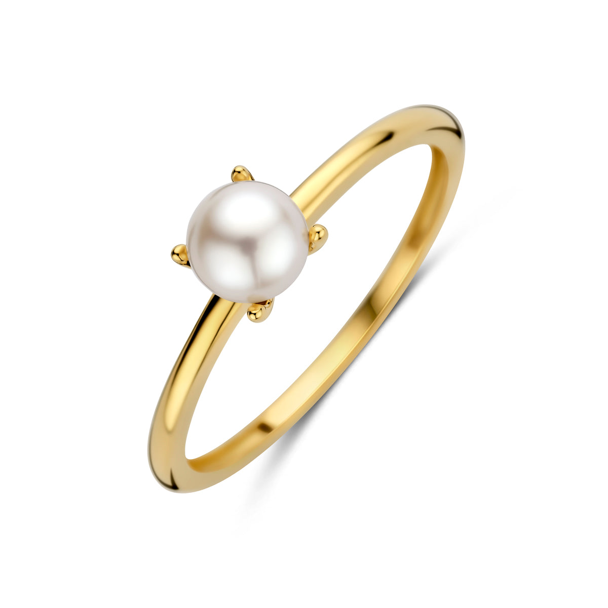 ring parel 14K geelgoud