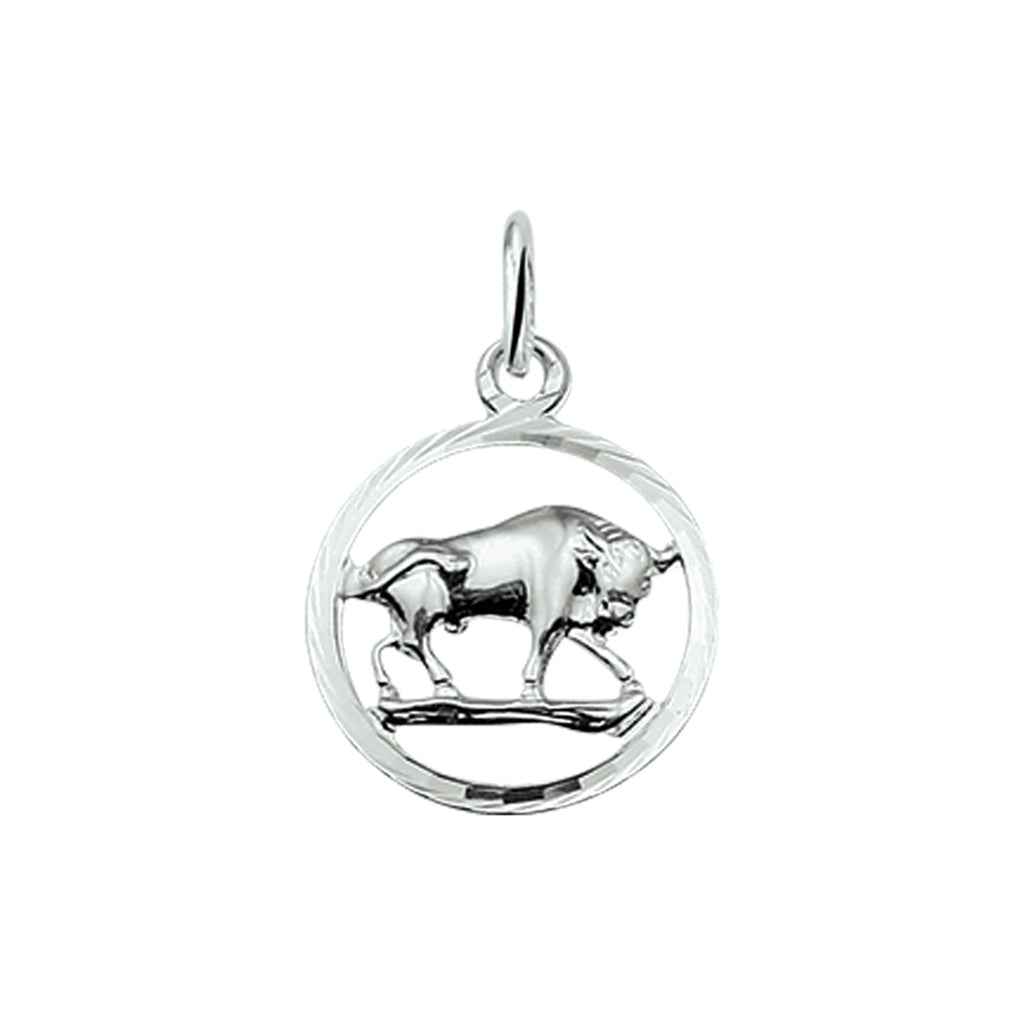 hanger sterrenbeeld gediamanteerd zilver wit