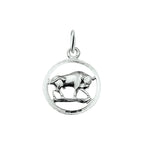 hanger sterrenbeeld gediamanteerd zilver wit