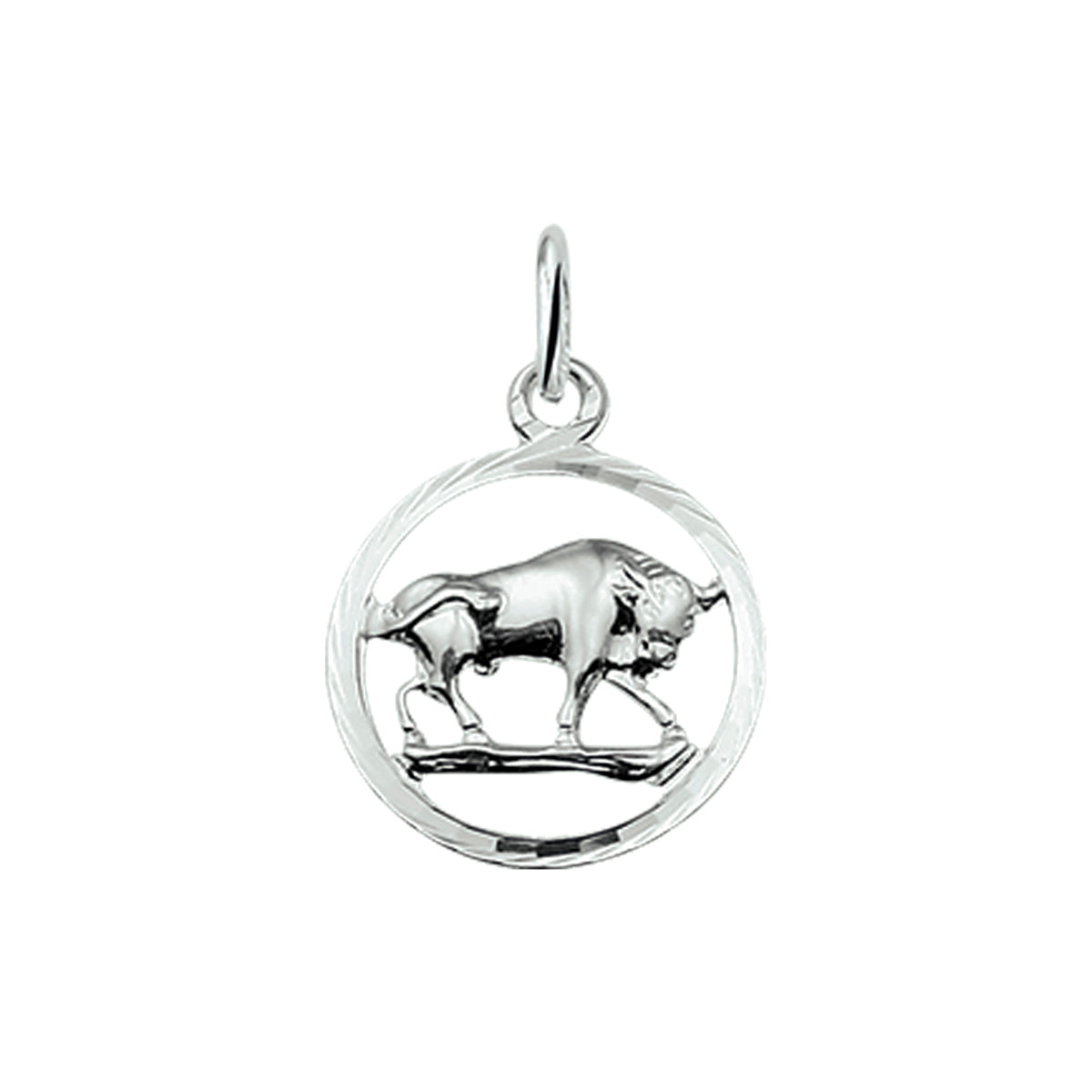 hanger sterrenbeeld gediamanteerd zilver wit