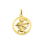 hanger sterrenbeeld gediamanteerd 14K geelgoud