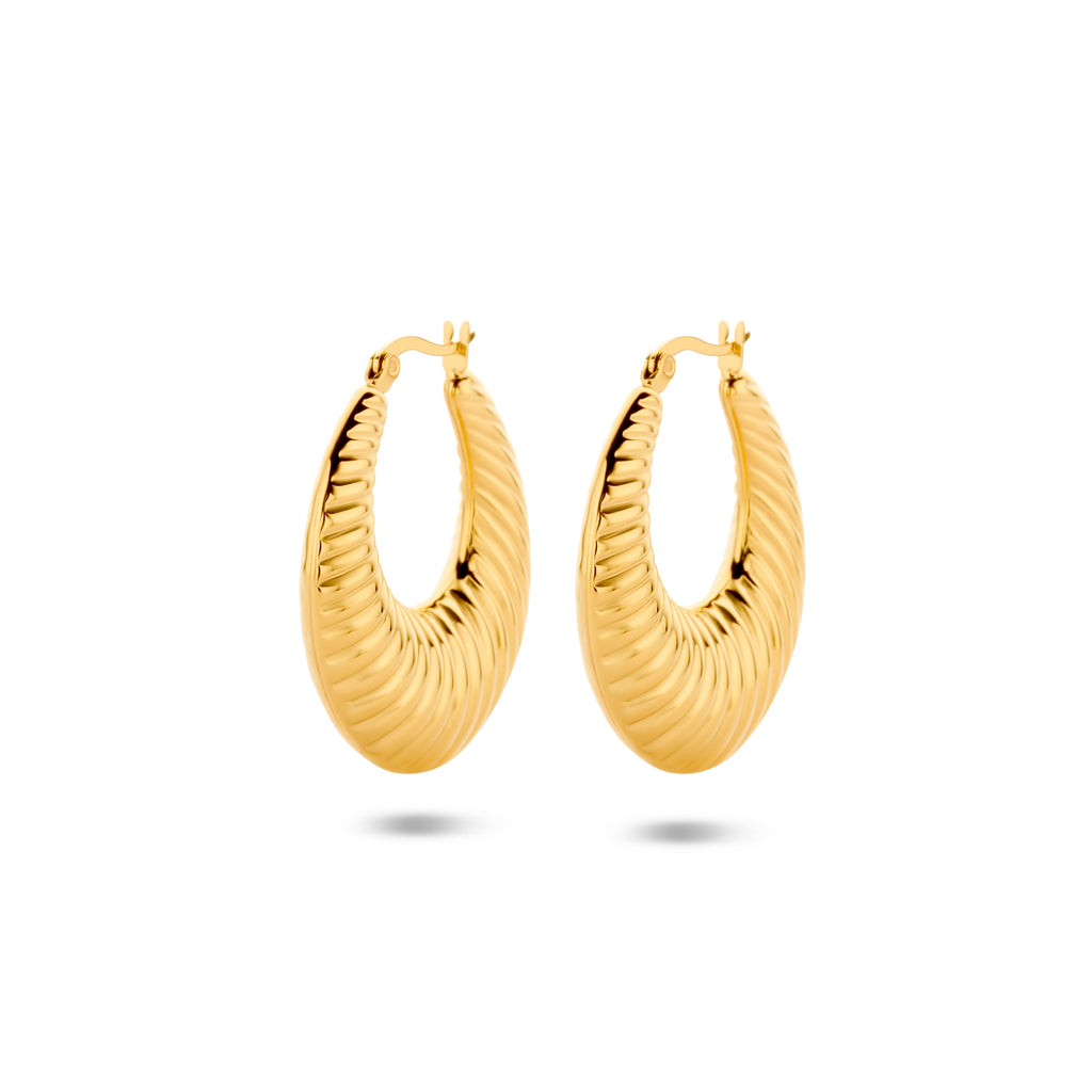 oorringen ion plating 38 mm edelstaal