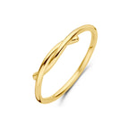 ring 14K geelgoud