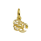 Anhänger Sternzeichen 14K Gelbgold