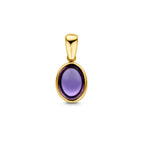 Anhänger Amethyst 14K Gelbgold