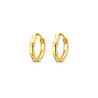 klapoorringen 9,5 mm 14K geelgoud
