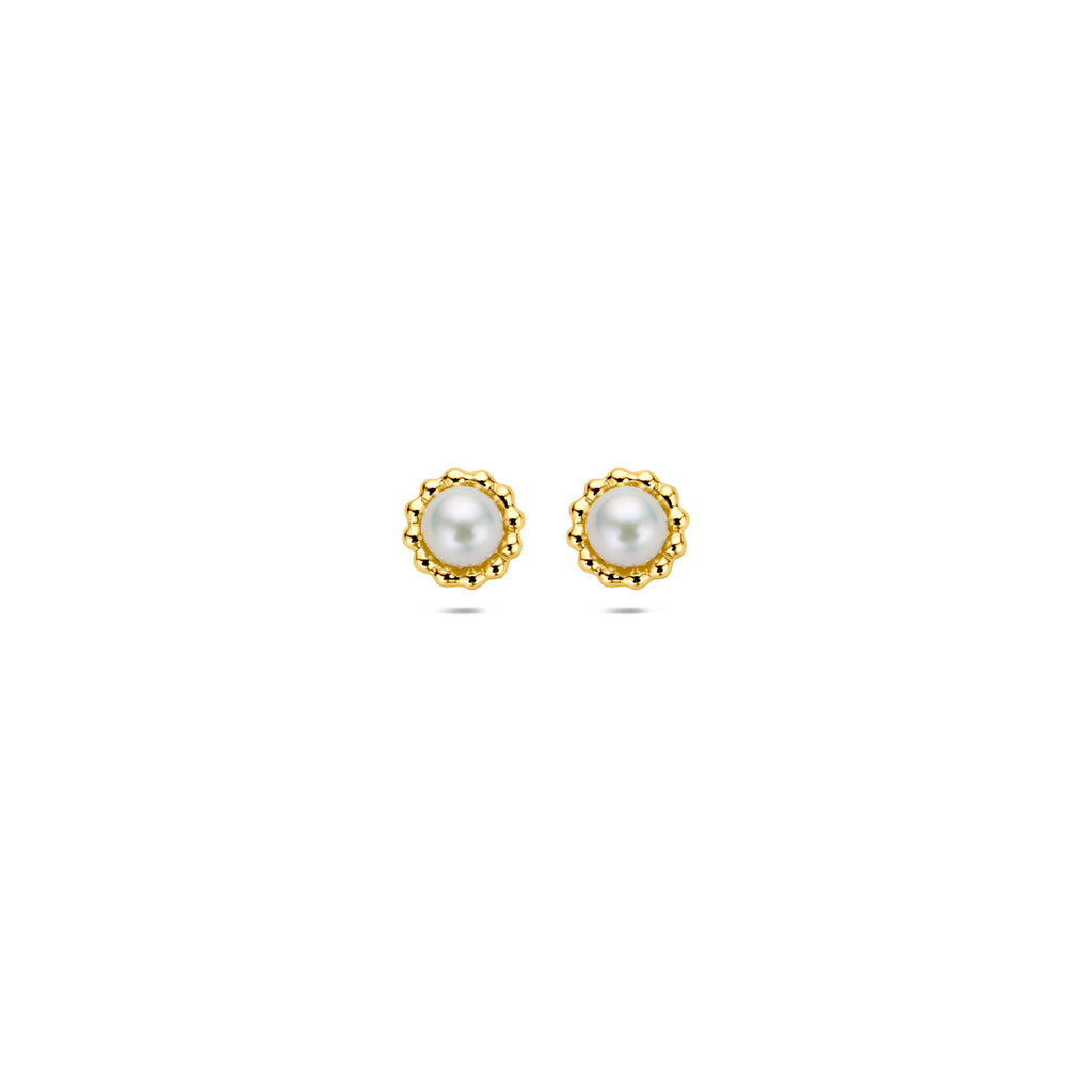 oorknoppen parel 5,5 mm 14K geelgoud