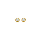 oorknoppen parel 5,5 mm 14K geelgoud
