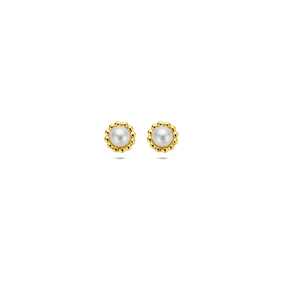 oorknoppen parel 5,5 mm 14K geelgoud