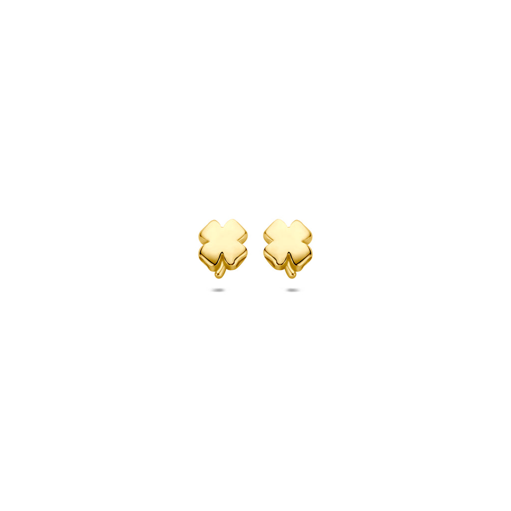 oorknoppen klaver 5 mm 14K geelgoud